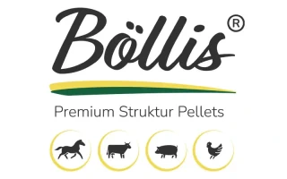 boellis