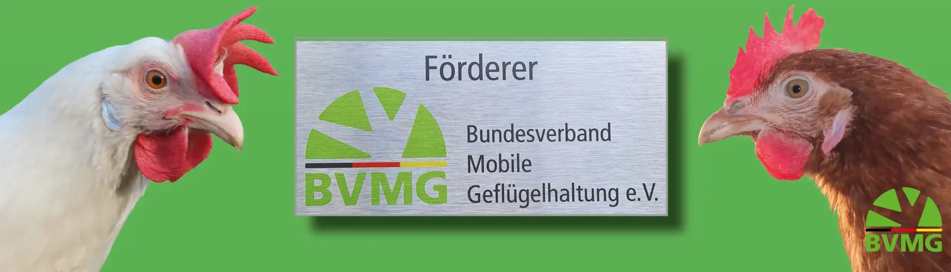 Förderer des BVMG werden