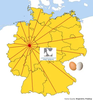 Liefergebiet des Junghennenlieferenten Josef Schulte in NRW Liefergebiet des Junghennenlieferenten Josef Schulte in NRW