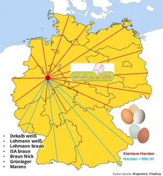 Liefergebiet des Junghennenlieferenten Witte in NRW
