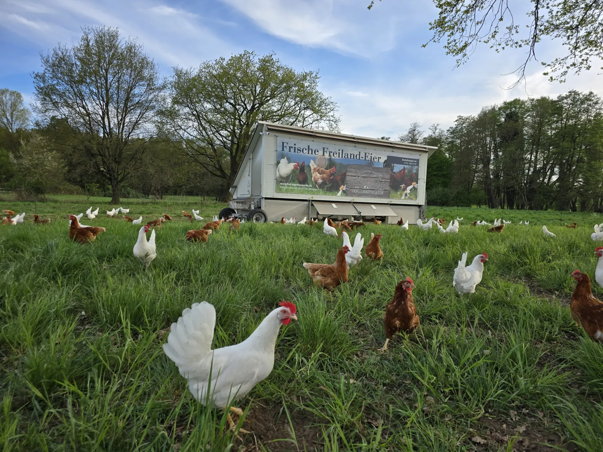 Stallbau Weiland GmbH &amp; Co. KG