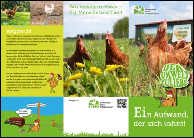 Verbraucherflyer: EIn Aufwand, der sich lohnt