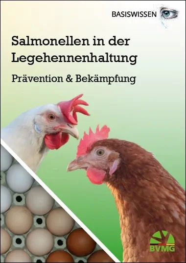 basiswissen salmonellen basiswissen salmonellen
